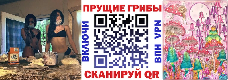 KRAKEN   Борисоглебск  Псилоцибиновые грибы MAGIC MUSHROOMS 