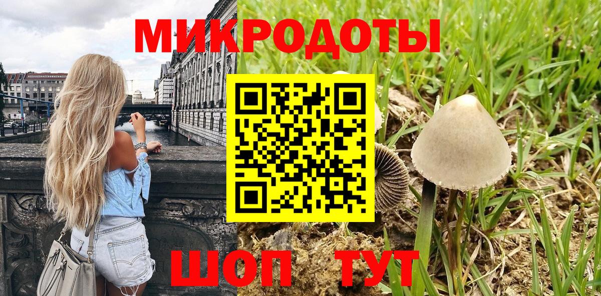 Псилоцибиновые грибы мицелий Борисоглебск